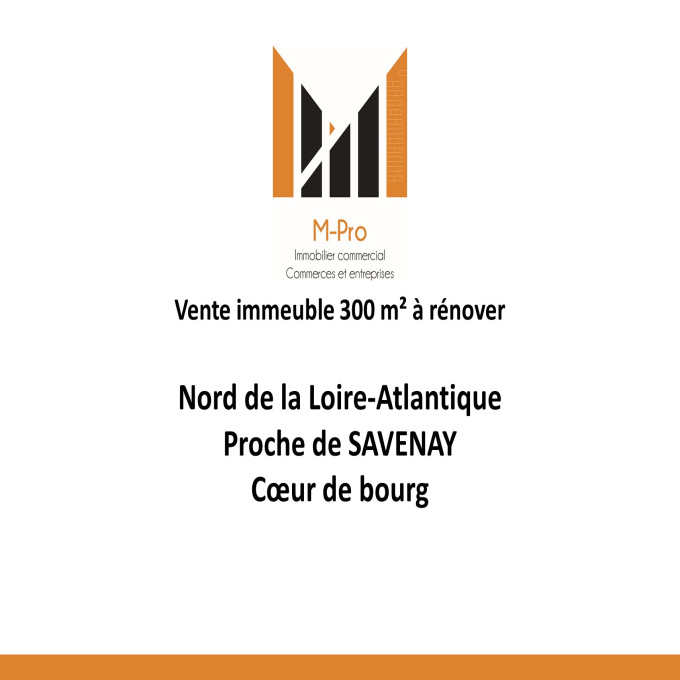 Offres de vente Immeuble Savenay (44260)